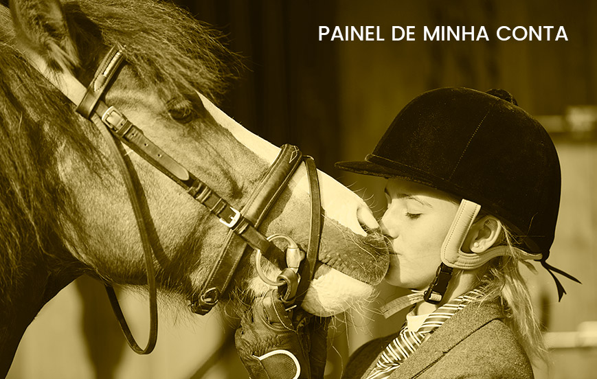 Painel de Minha Conta