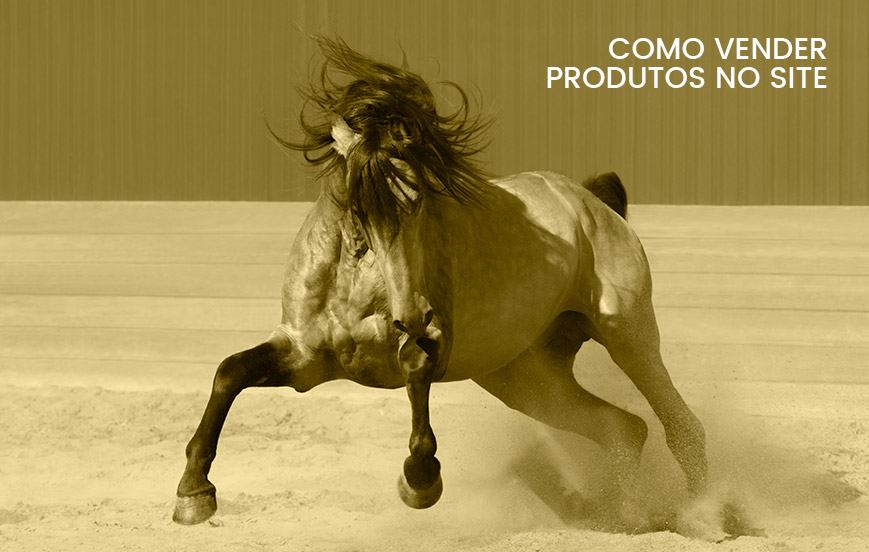 Como vender produto no site