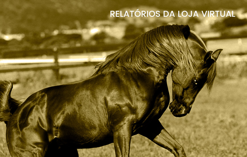 Relatórios da Loja Virtual 