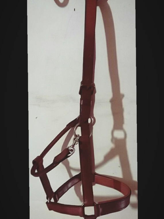 Cabresto de Couro