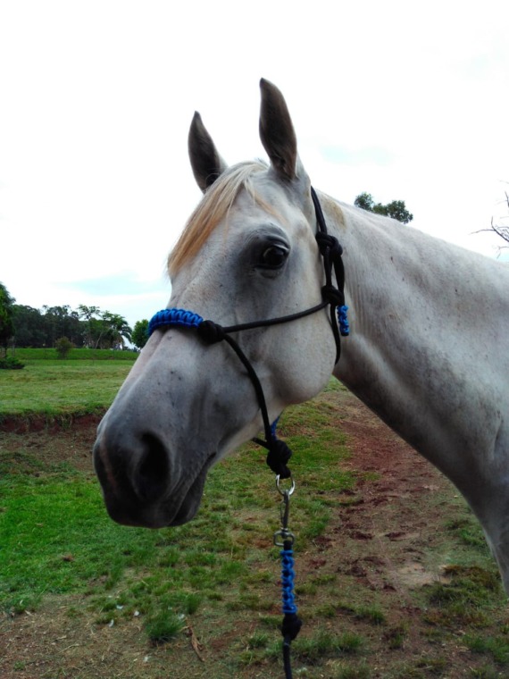 Made with Square InstaPic