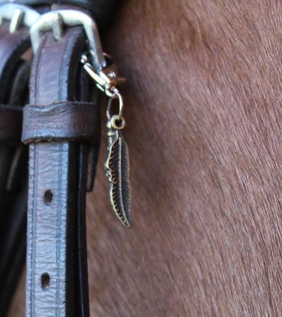 WhatsApp Image 2019-08-12 at 19.27.32(2) – Copia