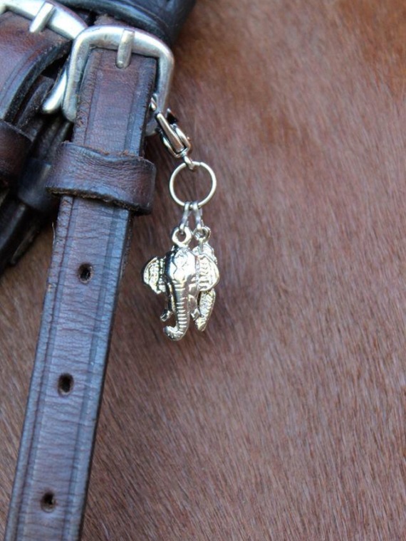 Charms Elefante