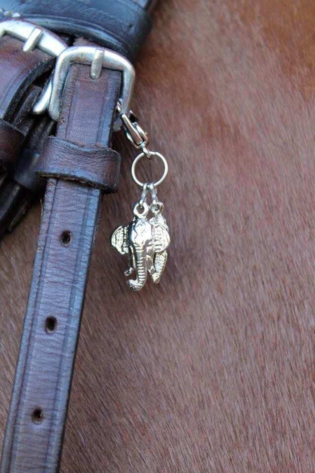 Charms Elefante