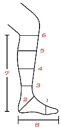 Bota de Adestramento - 37 - Imagem 5