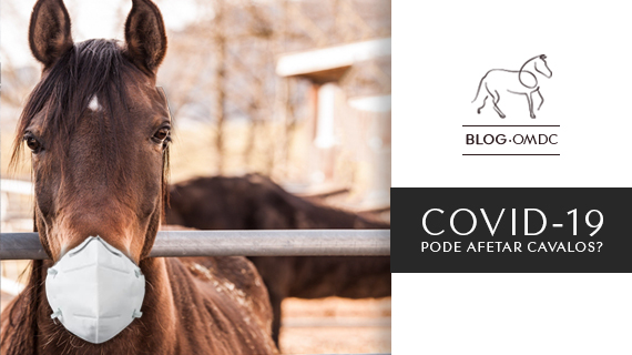 Covid-19 pode afetar Cavalos?
