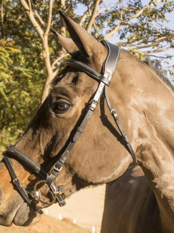 CABECADA HDR ANATOMICA FORRADA