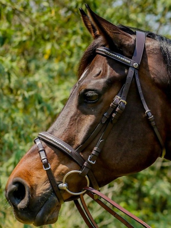 CABEÇADA HDR FLASH PRATA
