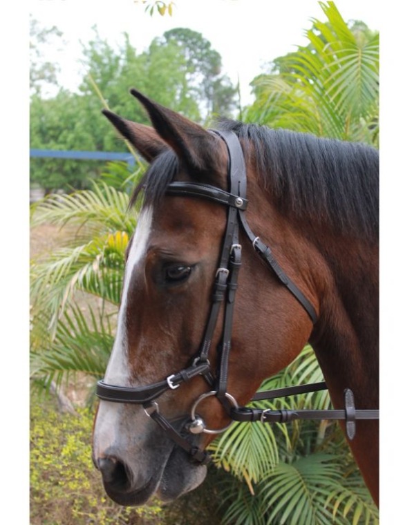 CABEÇADA HDR PRO ANATÔMICA