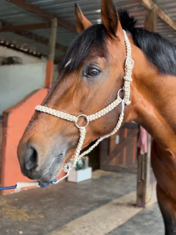 WhatsApp Image 2023-07-26 at 14.00.34 (2)