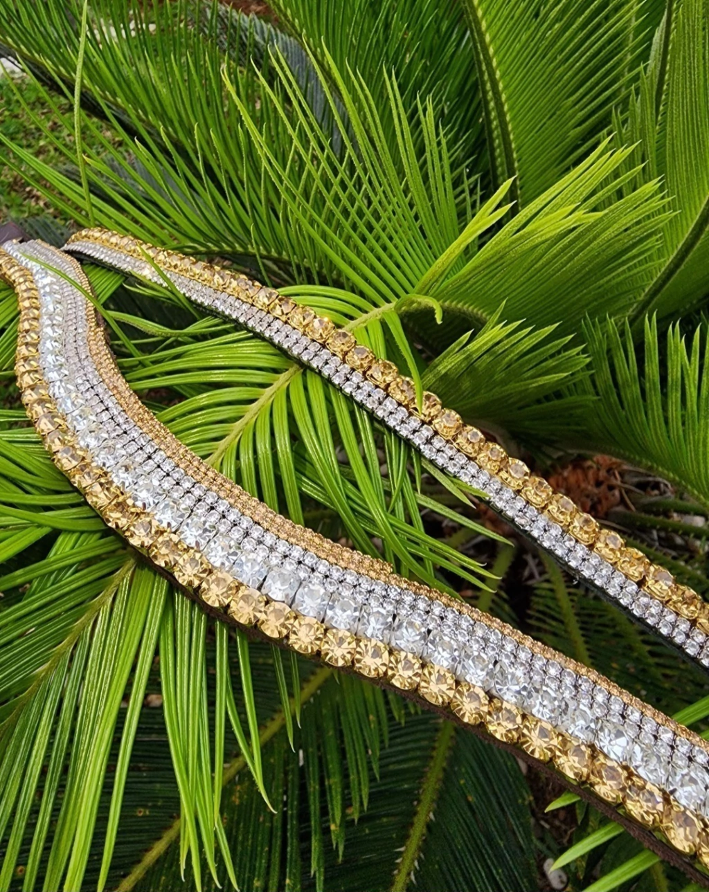 1000098354-ff84065a1ce526359d17270675254061-1024-1024