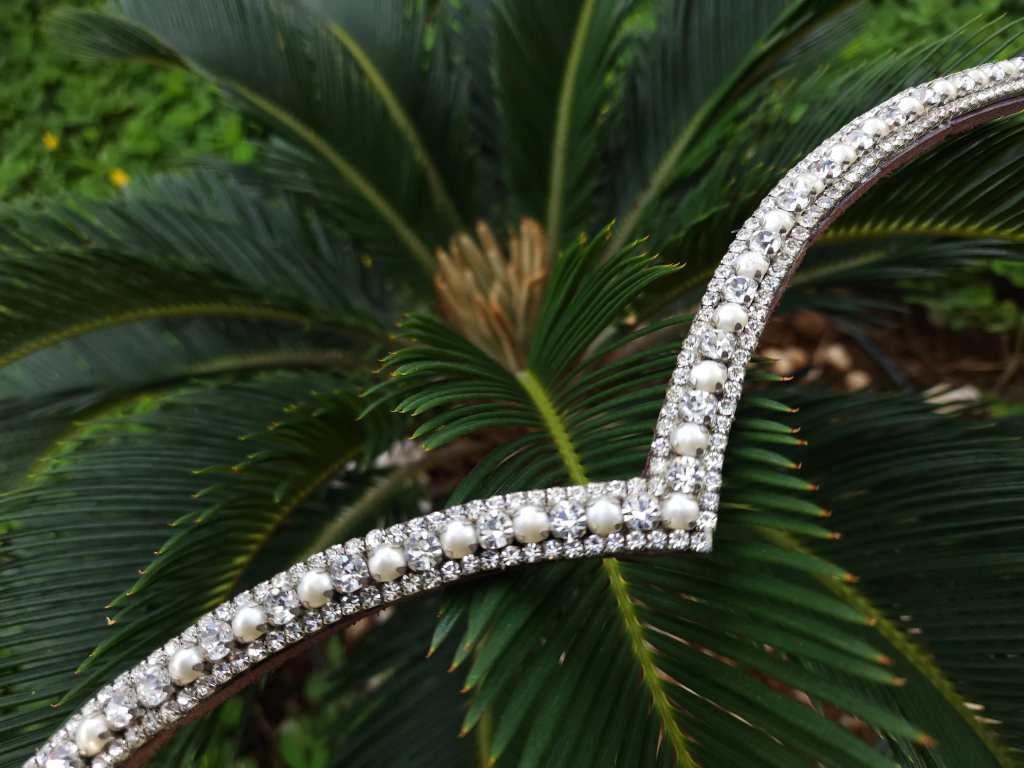 1000103441-f90057b4f5fcabd23017286656139767-1024-1024