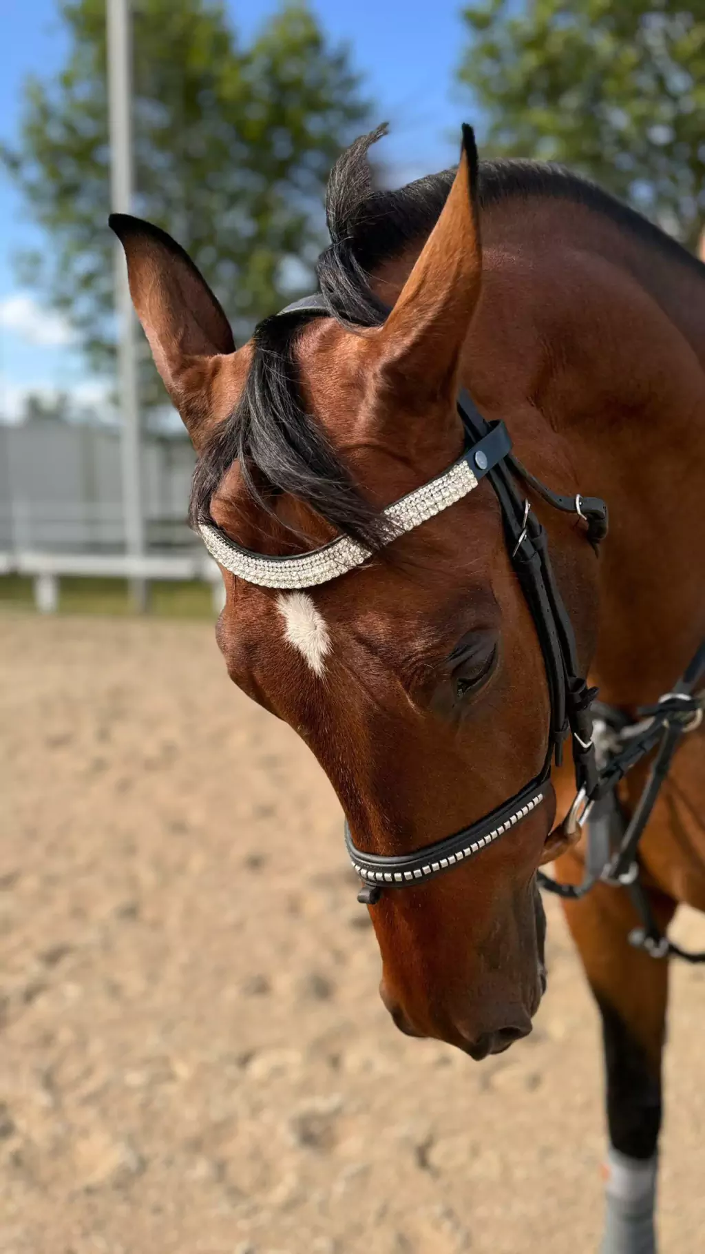 1000104399-5da0f07a88025bf16317288514282175-1024-1024