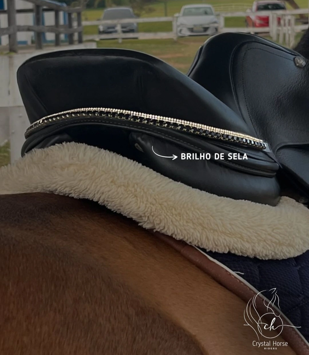 1000105087-f7a049357c3f6310ac17291876875640-1024-1024