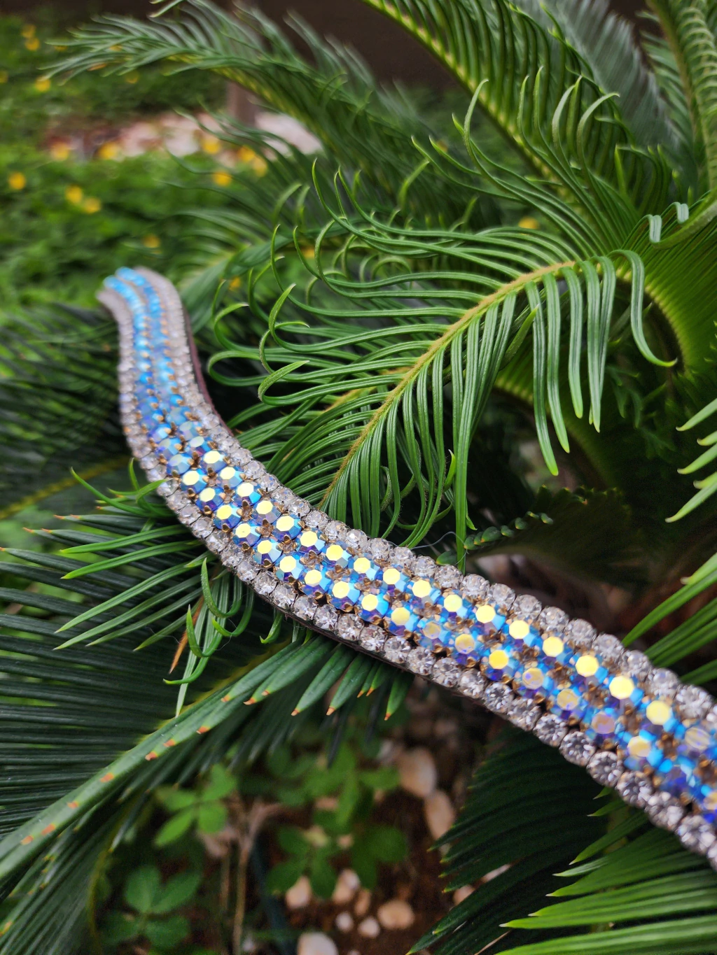 1000107476-a5ed54bebc0aa0cdc617297246415060-1024-1024