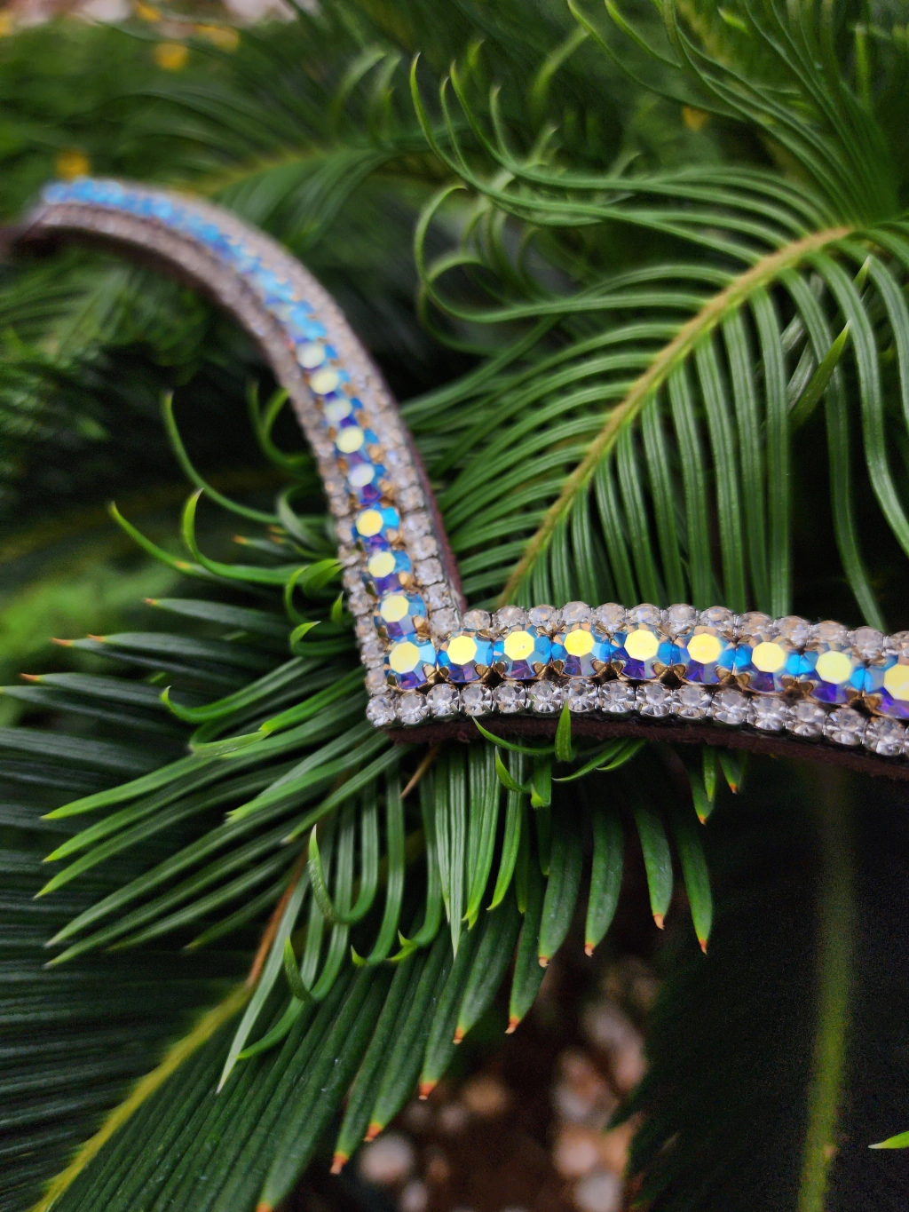 1000107480-21cba2b01c4dc4680417297240455305-1024-1024