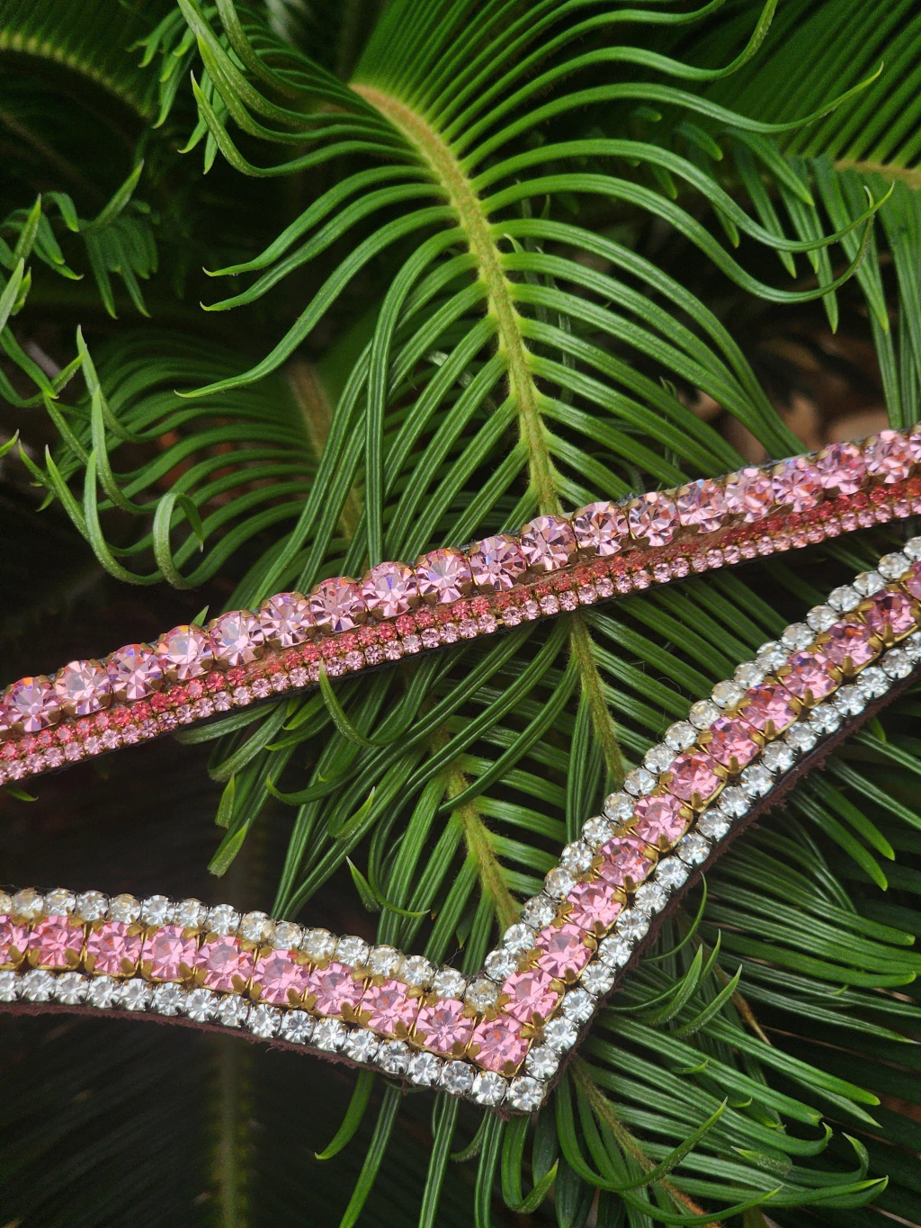 1000107510-d450d40adba59f35f917297285717358-1024-1024