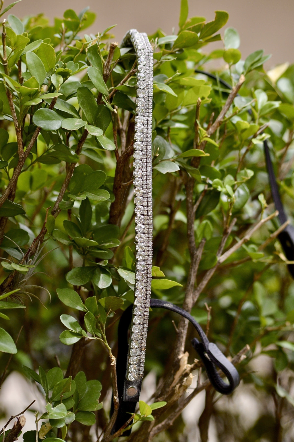 1000118687-3f0446f99719f0f42117327954379087-1024-1024