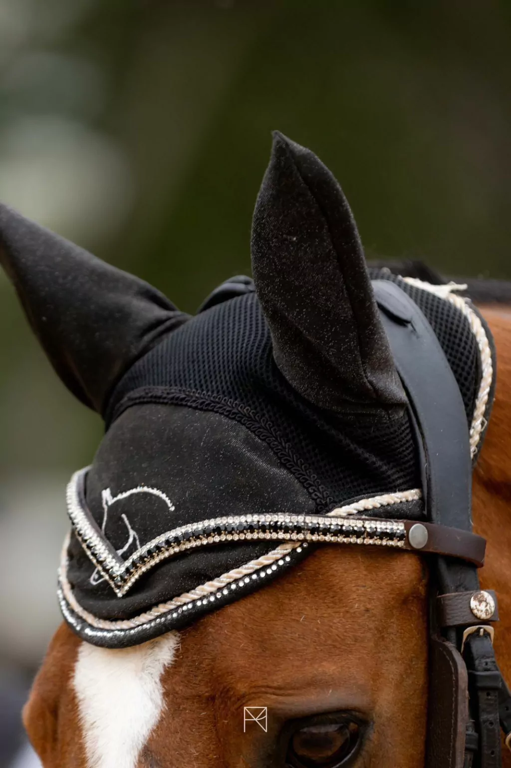 1000123471-46a00300d9122da8c817355677094820-1024-1024