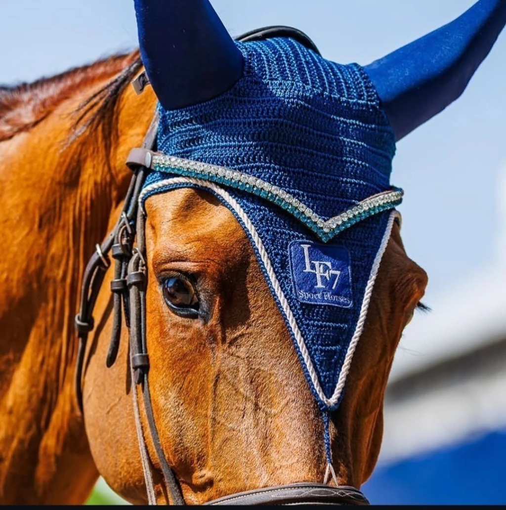 1000126289-11a23072c9bf545d3017377313309442-1024-1024