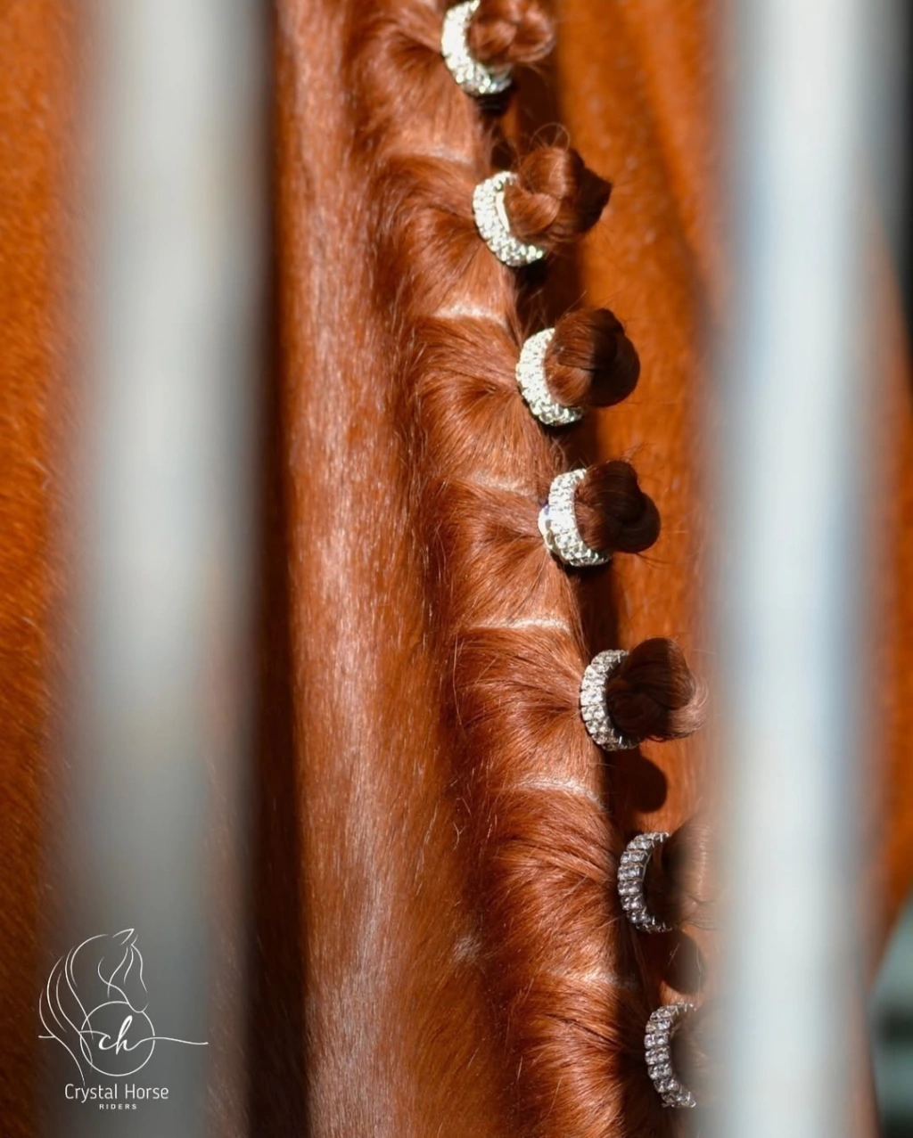 1000461900-b14622ddf18f22544c17325590697517-1024-1024