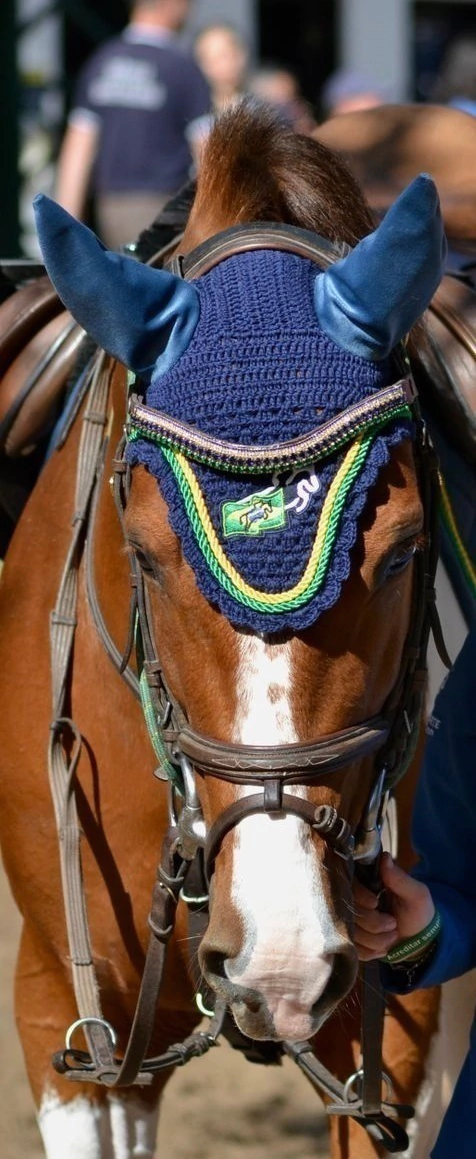 imagem-do-whatsapp-de-2024-09-23-as-11-57-19_e236db7b-copia-681d5a2caf81de0cab17271036516369-1024-1024