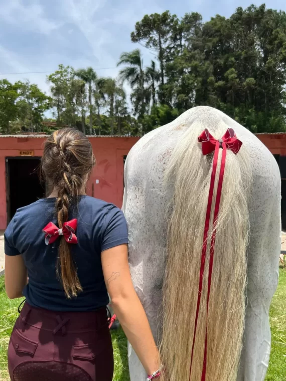 Laço Kit Strass (Cabelo + Rabo)