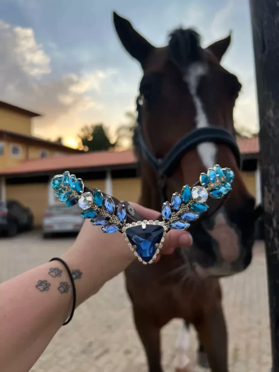 Testeira Atena (Titanic)