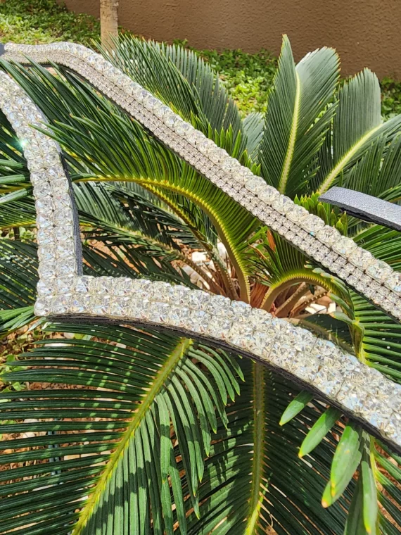 Testeira Prateada V + Brilho de Sela (strass 2 fileiras)
