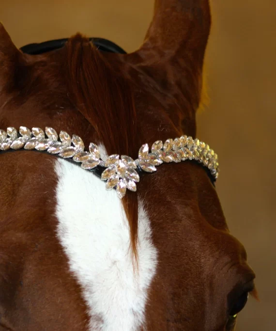 Testeira Crystal - Diversas Cores (strass importado)