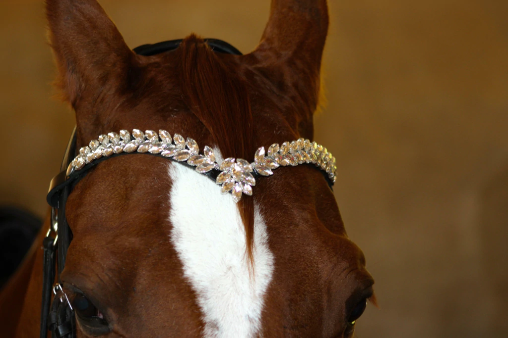 img-20250208-wa0023-5d340e1b7991de7c9217392331296498-1024-1024