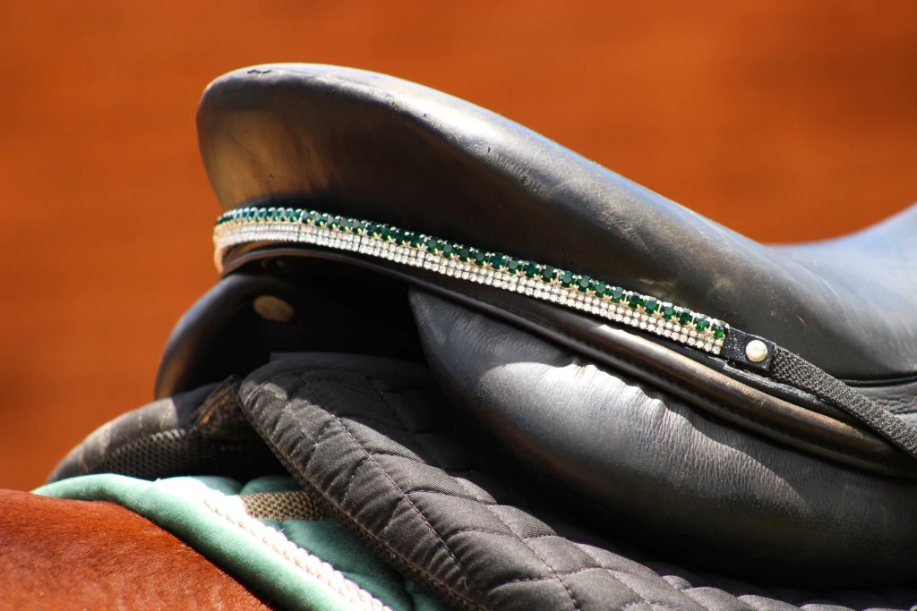 img-20250210-wa0024-546da5373148774a5c17392332892445-1024-1024