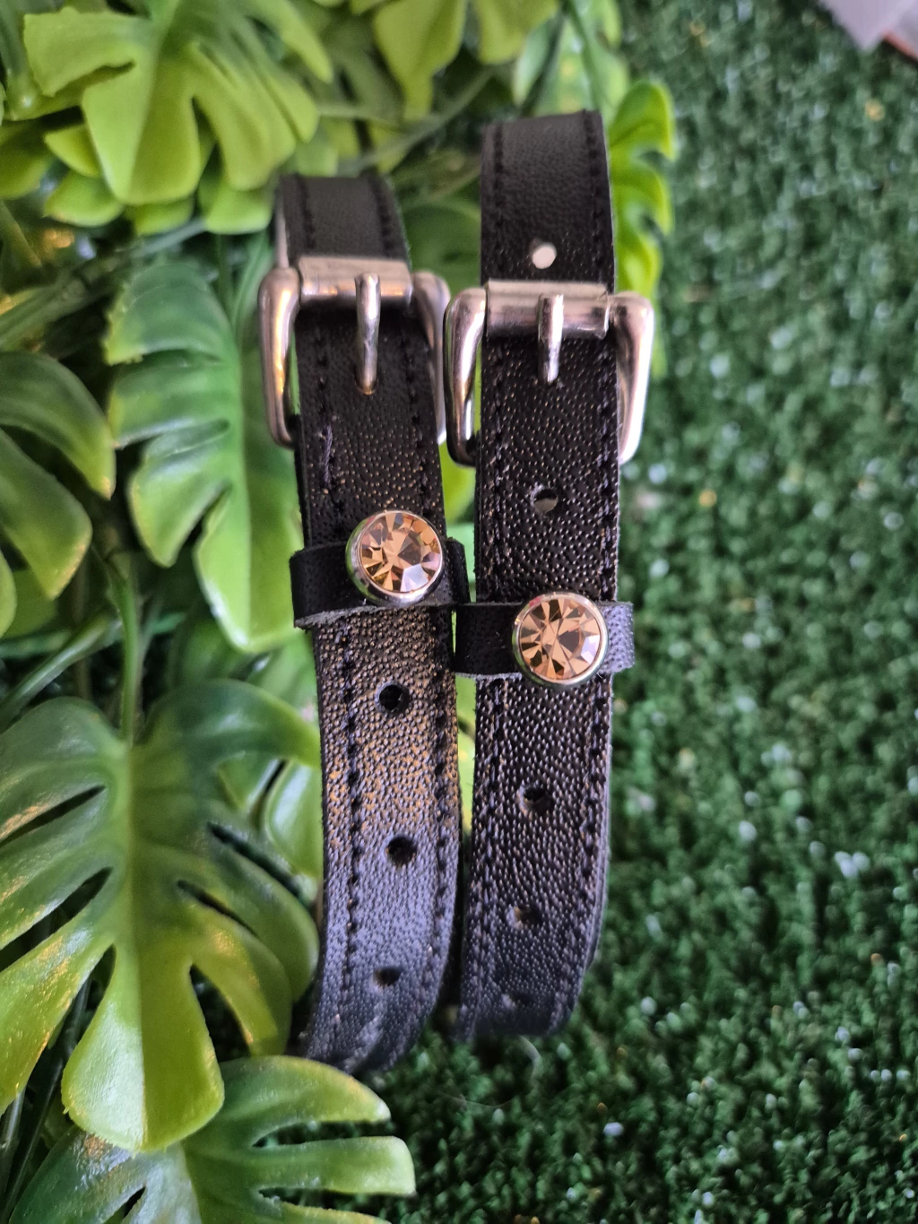 pin ponto de luz espora