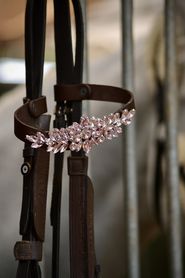 1000118236-6131f1f6520829e6d817325840028162-640-0